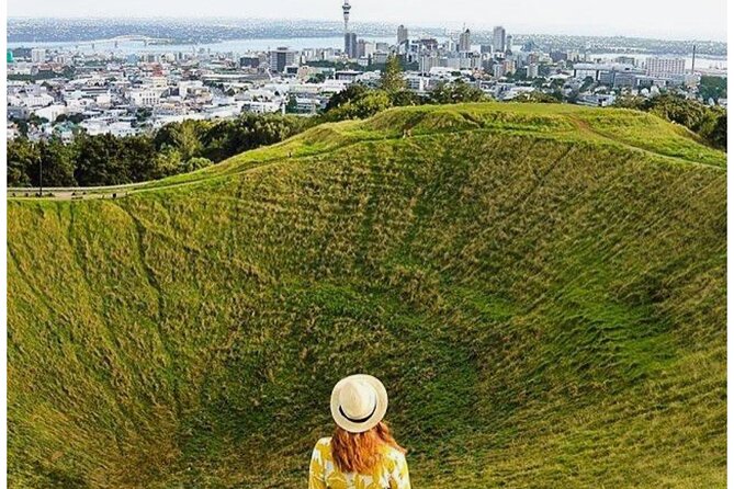Private Piha Beach, Rainforest Adventure & Mt. Eden with Guide - Is $279 per person a fair price?