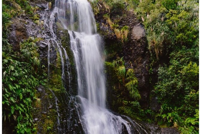 Private Piha Beach, Rainforest Adventure & Mt. Eden with Guide - Arataki Visitor Centre and Māori heritage