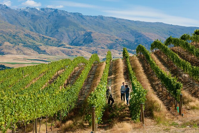 Private Queenstown Wine Tour All-Inclusive Tour - Starting the tasting in Gibbston