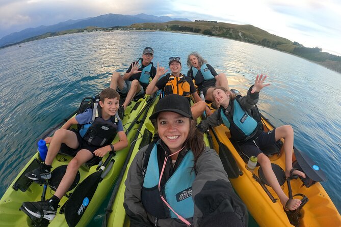 Private Seal Kayaking and Wildlife Tour in Kaikoura - Equipment, comfort, and physical requirements