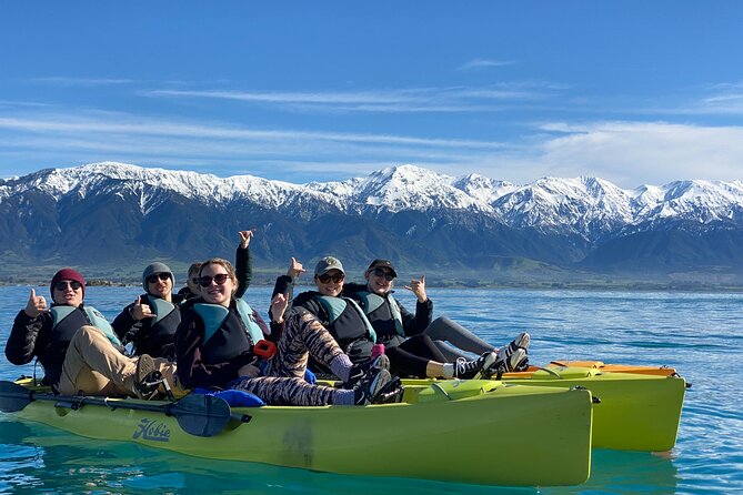 Private Seal Kayaking and Wildlife Tour in Kaikoura - Pedaling beside Kaikoura’s fur seals
