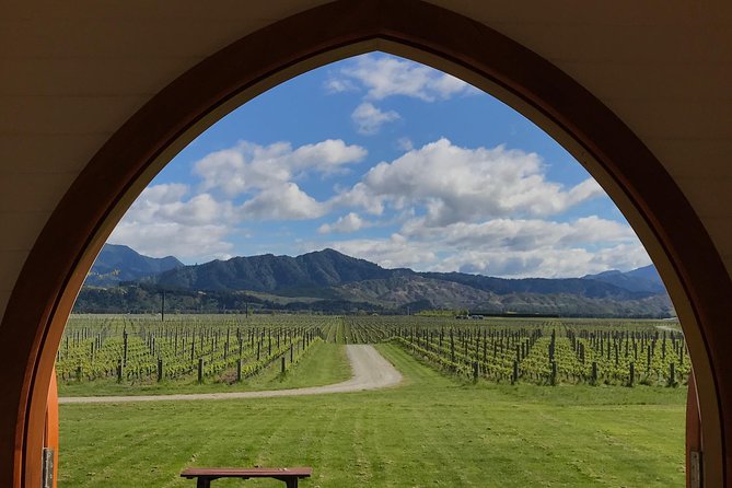 Private Shore Excursion: Explore Marlborough from Picton - From Picton port into Marlborough’s wine country