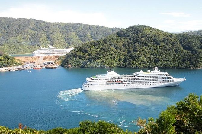 Private Shore Excursion: Explore Marlborough from Picton - Cruise timing is the practical heart of the tour