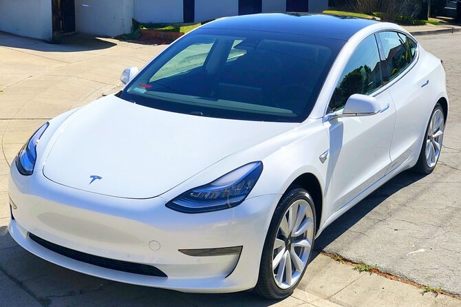 Private Tesla Transfer: Auckland, Tauranga, Rotorua, Taupo - Choosing your route: Auckland, Hamilton, Tauranga, Rotorua, or Taupo