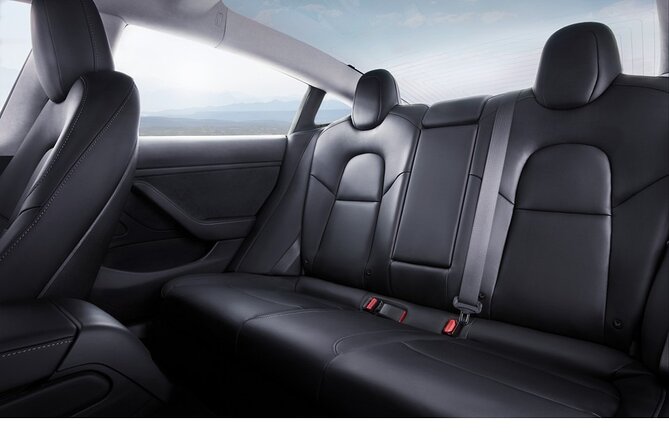 Private Tesla Transfer: Auckland, Tauranga, Rotorua, Taupo - What the ride itself is like