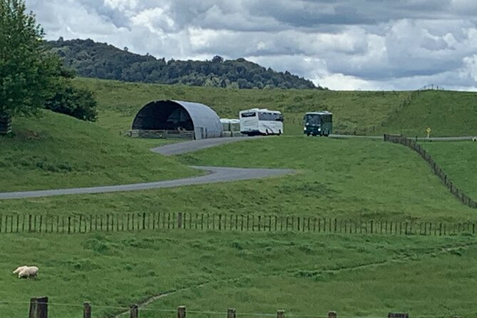 Private The Hobbiton Tour - Auckland Tour House - Bag End, the hobbit holes, and the details worth noticing