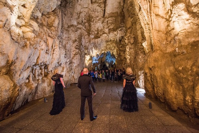 Private Tour [2 Days]: Auckland to Waitomo Caves, Rotorua, Te Puia & Wai-O-Tapu - Ruakuri Cave and the Cathedral Cave