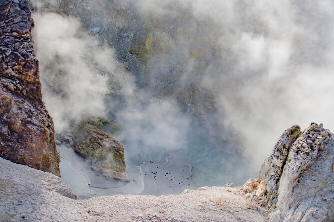 Private Tour [2 Days]: Auckland to Waitomo Caves, Rotorua, Te Puia & Wai-O-Tapu - Te Puia and the force of Pohutu Geyser