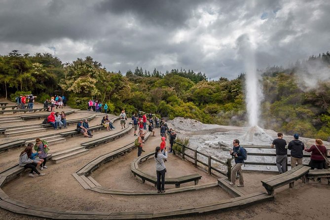 Private Tour [2 Days]: Auckland to Waitomo Caves, Rotorua, Te Puia & Wai-O-Tapu - The long return to Auckland