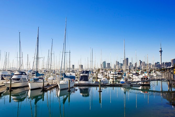 Private Tour: Auckland City and Countryside Tour - Maungawhau, Mount Eden: Auckland from above