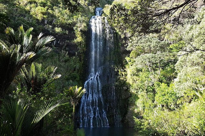 Private Tour: Auckland City and Countryside Tour - Beaches, rainforest, and the waterfall option