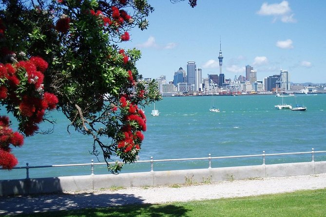 Private Tour: Auckland City and Countryside Tour - Is $277.40 per person fair?