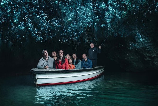 Private Tour: Bay of Islands Day Trip from Auckland - Haruru Falls near Paihia