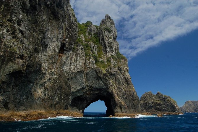 Private Tour: Bay of Islands Day Trip from Auckland - Whangarei Falls, a 26-metre pause