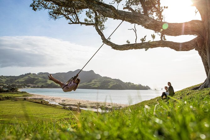 Private Tour - Coromandel Beach, Caves & Forest - Leaving Auckland at 6:00 in the morning