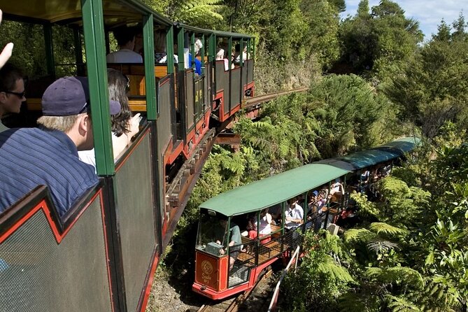 Private Tour - Coromandel Beach, Caves & Forest - Making your own spa at Hot Water Beach