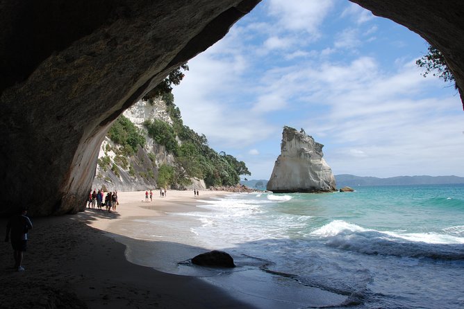 Private Tour - Coromandel Beach, Caves & Forest - Riding Driving Creek Railway through the bush