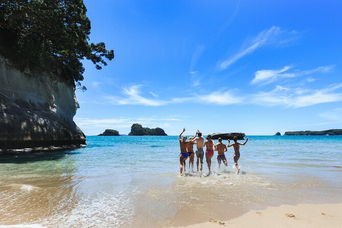 Private Tour - Coromandel Beach, Caves & Forest - What the private format adds