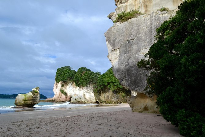 Private Tour - Coromandel Beach, Caves & Forest - Who should book this tour