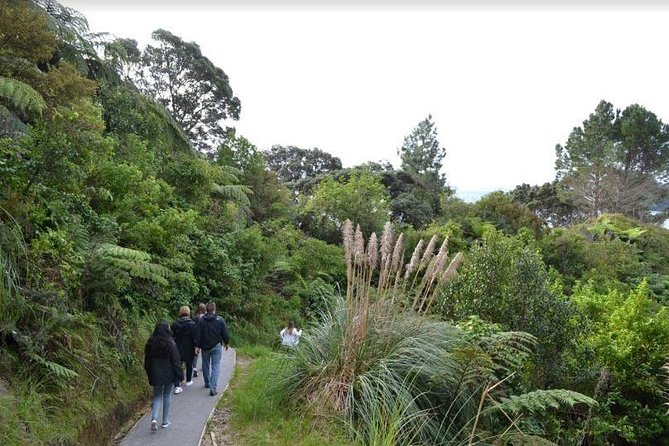 Private Tour - Coromandel Beach, Caves & Forest - Should you book the Coromandel private tour?