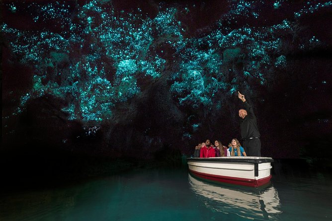 Private tour from Auckland - Waitomo Glowworm Caves, Zealong Tea & Kiwi Bird - Who will enjoy this Auckland day tour?