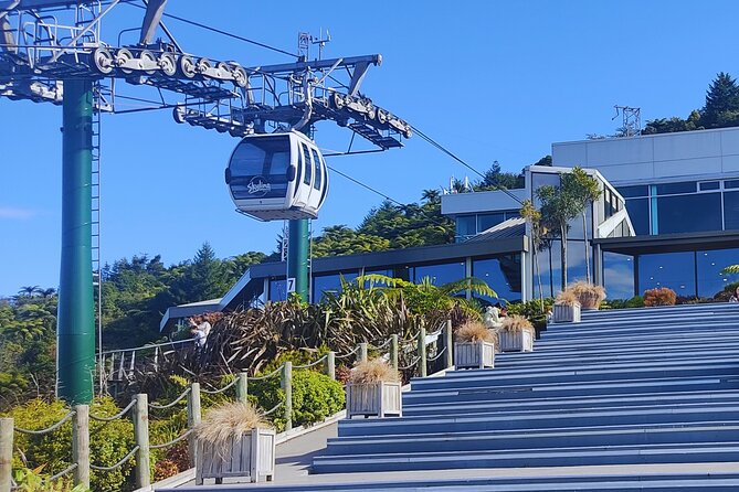 Private Tour: Hobbiton Movie Set, Rotorua Mud Pool & Treewalk - Hobbiton, where the Shire becomes real