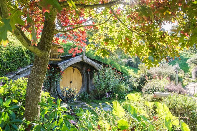 Private Tour - Hobbiton Movie Set & Te Puia (Rotorua) - Two famous stops, one very long day