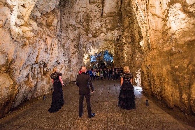 Private Tour: Hobbiton & Waitomo Glowworm Cave Experience - Who will enjoy this most