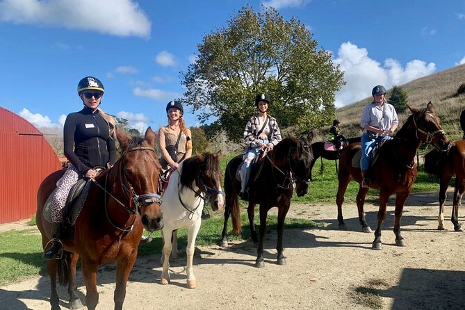 Private Tour - Horse Riding, Wine Tasting and Art Trail - A country day without giving up your Auckland base