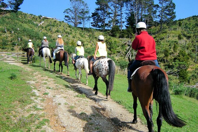 Private Tour - Horse Riding, Wine Tasting and Art Trail - Booking details that can affect your day