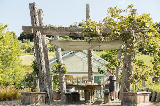 Private Tour - Horse Riding, Wine Tasting and Art Trail - Choosing the right horse for your ability