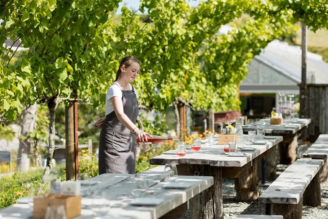 Private tour - Matakana Art & Wine Village - Leaving Auckland for Matakana