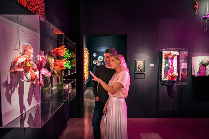 Private tour - Matakana Art & Wine Village - Who will get the most from this day