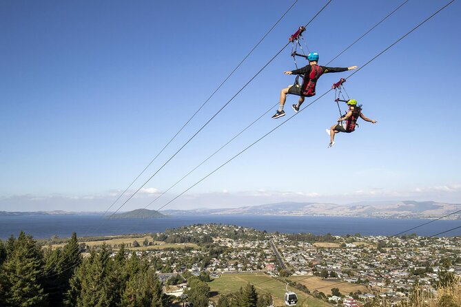 Private Tour - Rotorua Adventures Day Trip From Auckland - Agrodome, three hours with New Zealand farm life