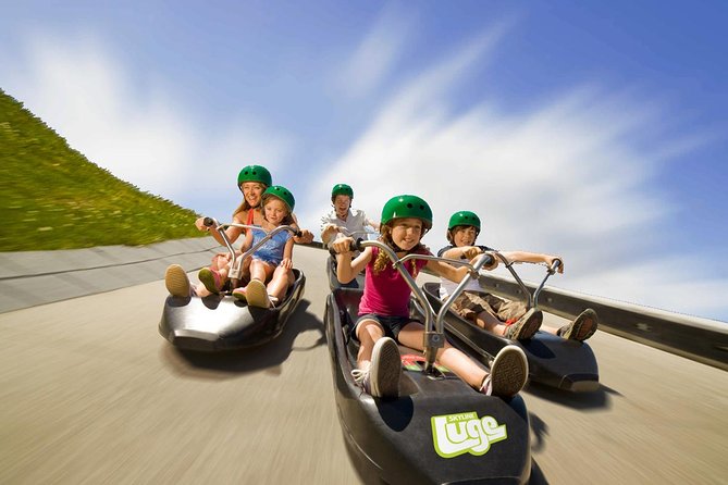 Private Tour - Rotorua Adventures Day Trip From Auckland - Lunch, snacks, and the real value of $619.33