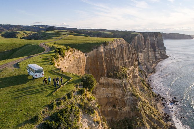 Private tour to Cape Kidnappers Gannet Colony - Why Cape Kidnappers is worth the ride