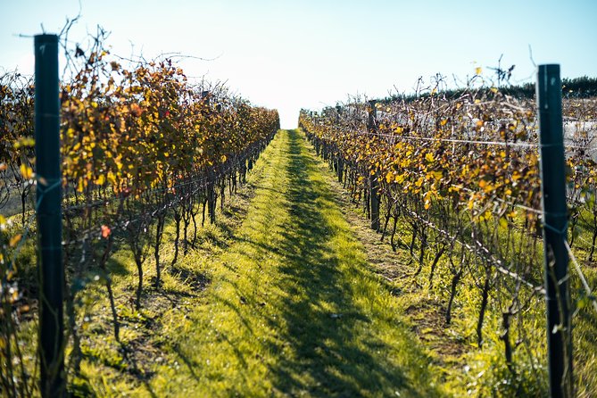 Private Tour - Waiheke Island Luxury Experience - Leaving Auckland for New Zealand’s wine island