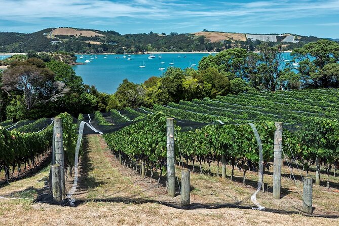 Private Tour - Waiheke Island Luxury Experience - Is $617.47 per person good value?