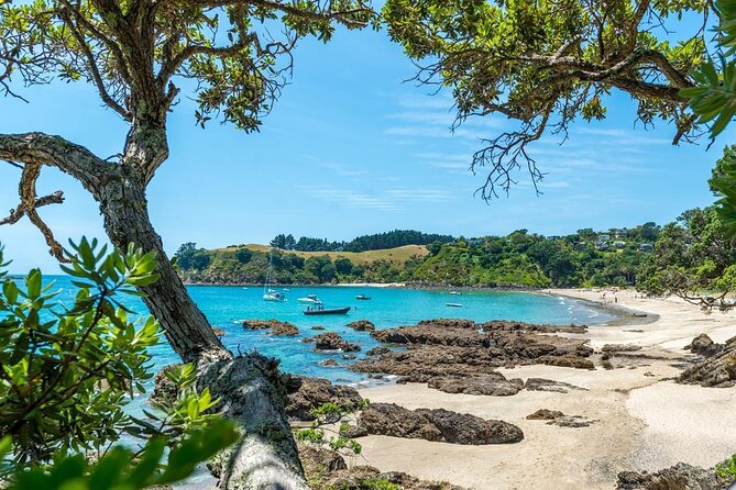 Private Tour - Waiheke Island Luxury Experience - Who will enjoy this Waiheke day most?