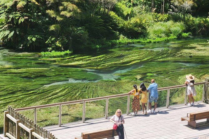 Private Tour WaiOtapu & Huka Falls & Blue springs from Auckland - Key points to know before booking