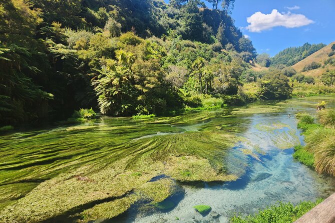 Private Tour WaiOtapu & Huka Falls & Blue springs from Auckland - One big North Island day from Auckland