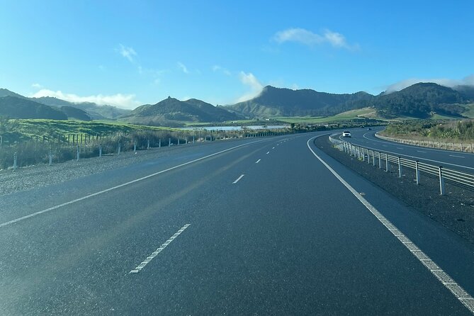 Private Transfer From Auckland Airport To Hamilton - Flight monitoring and arrival timing