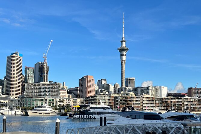 Private Transfer From Auckland Airport To Rotorua - Who will get the most from this service?