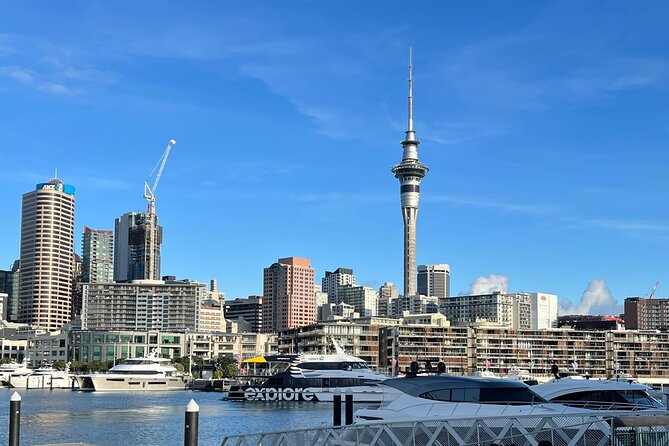 Private Transfer From Auckland City To Auckland Airport - What the 30 to 45 minute ride is like