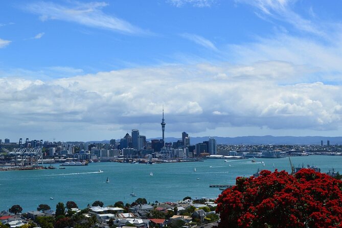 Private Transfer From Auckland International Airport To Auckland City - Personal service and luggage assistance
