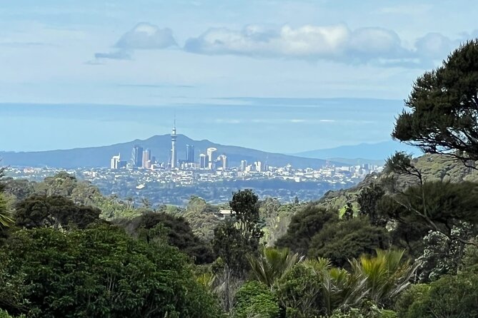 Private Transfer From Auckland International Airport To Auckland City - Booking details that deserve attention