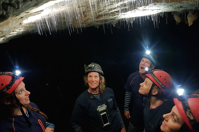 Private Waitomo Glowworm Cave Tours - Why the private format earns its price