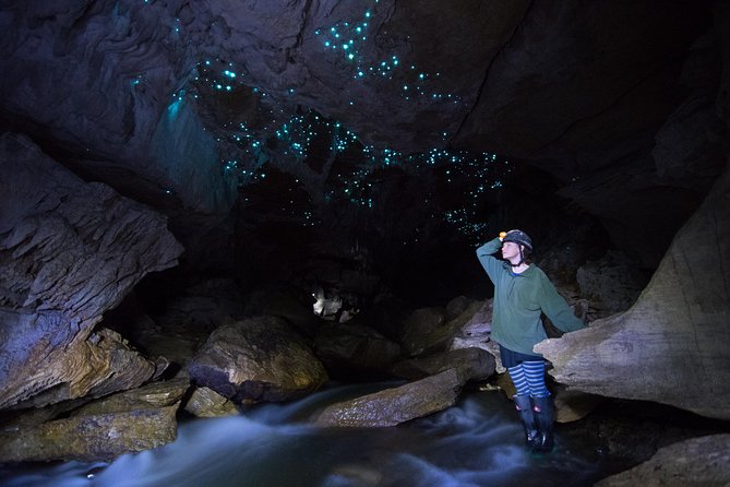 Private Waitomo Glowworm Cave Tours - Who will enjoy this most
