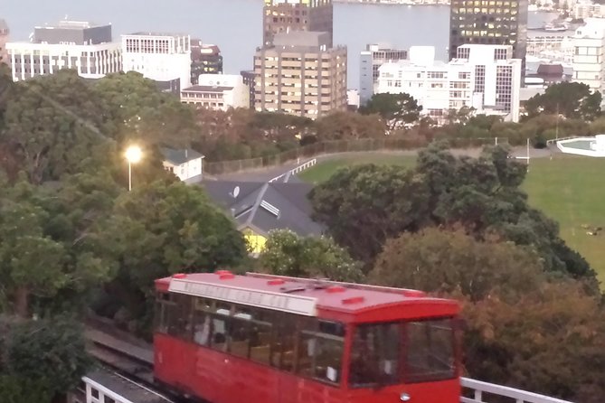 Private Wellington Full Day Sightseeing Tour - Why this route works for a first day in Wellington