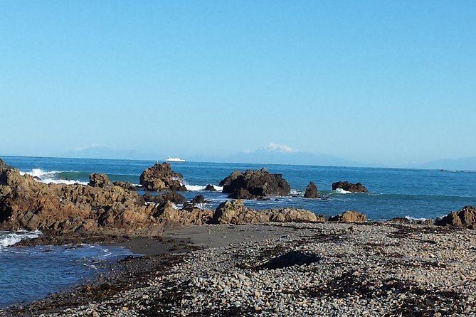 Private Wellington Full Day Sightseeing Tour - Red Rocks combines seals, coast, and old defenses